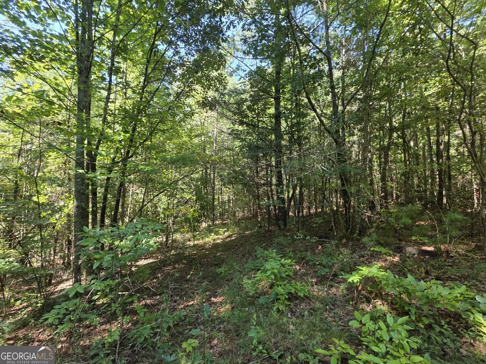 34.98 Hall RD Turtletown, TN 37391