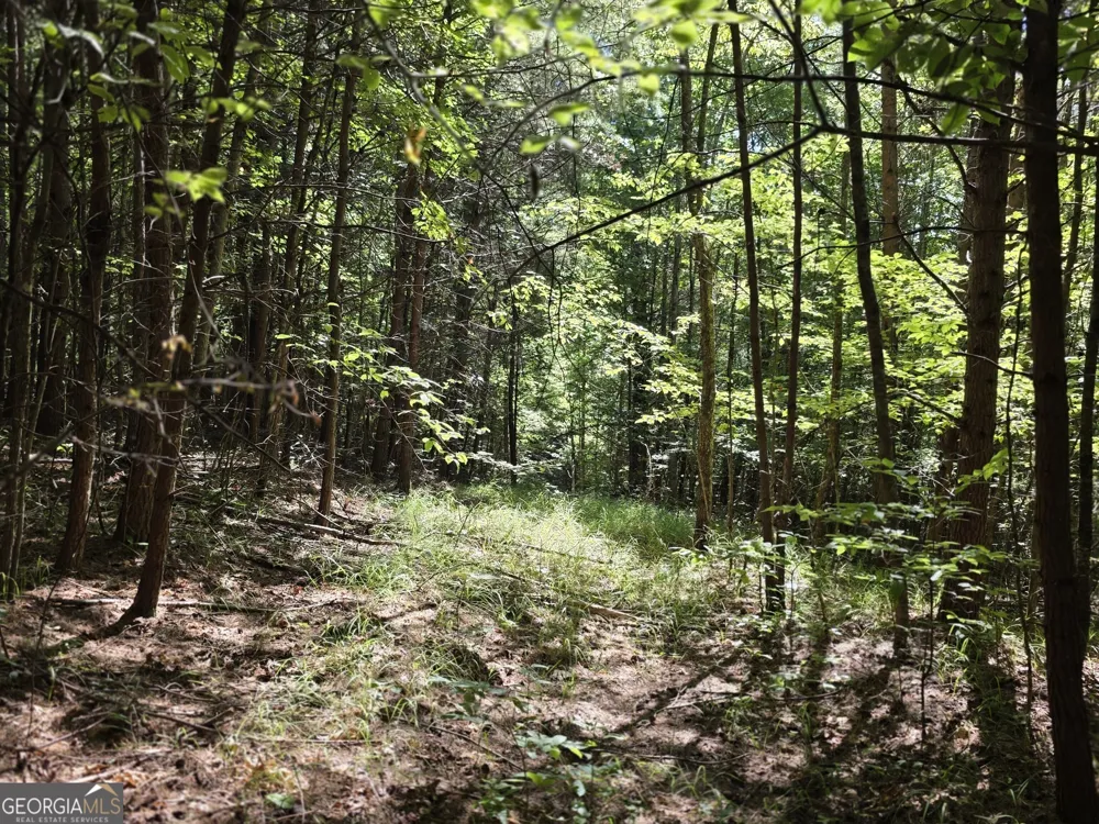 34.98 Hall RD Turtletown, TN 37391
