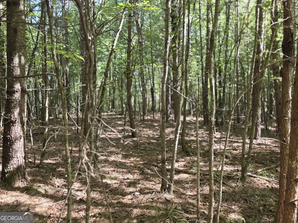 34.98 Hall RD Turtletown, TN 37391
