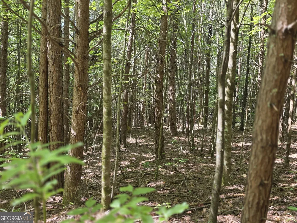 34.98 Hall RD Turtletown, TN 37391