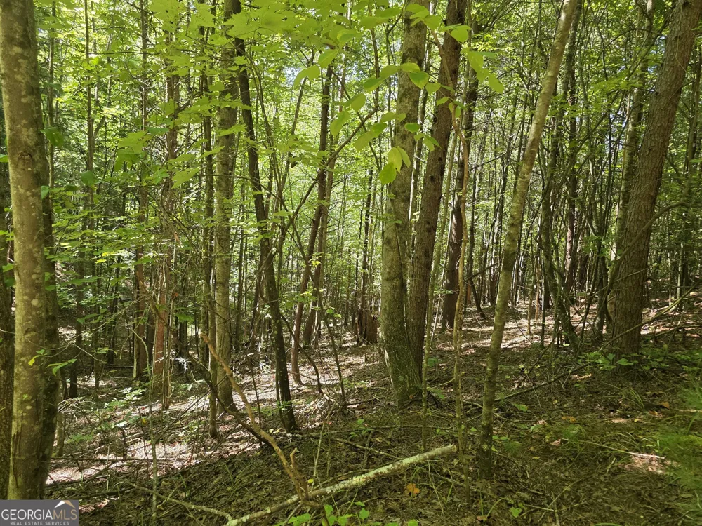 34.98 Hall RD Turtletown, TN 37391