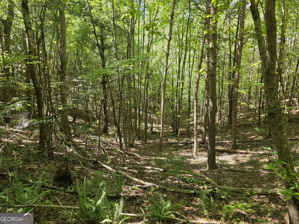 34.98 Hall RD Turtletown, TN 37391