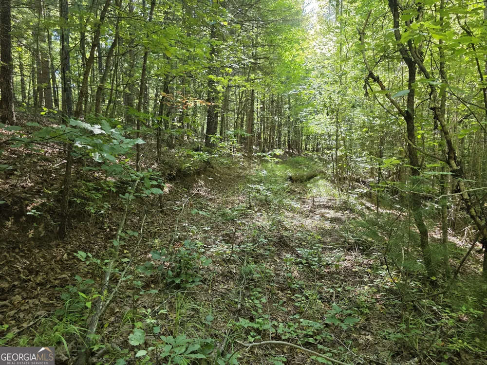 34.98 Hall RD Turtletown, TN 37391