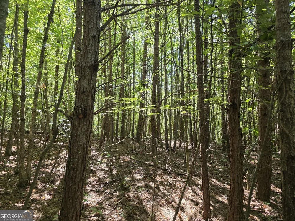 34.98 Hall RD Turtletown, TN 37391