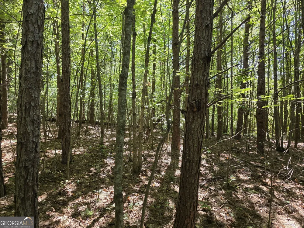 34.98 Hall RD Turtletown, TN 37391