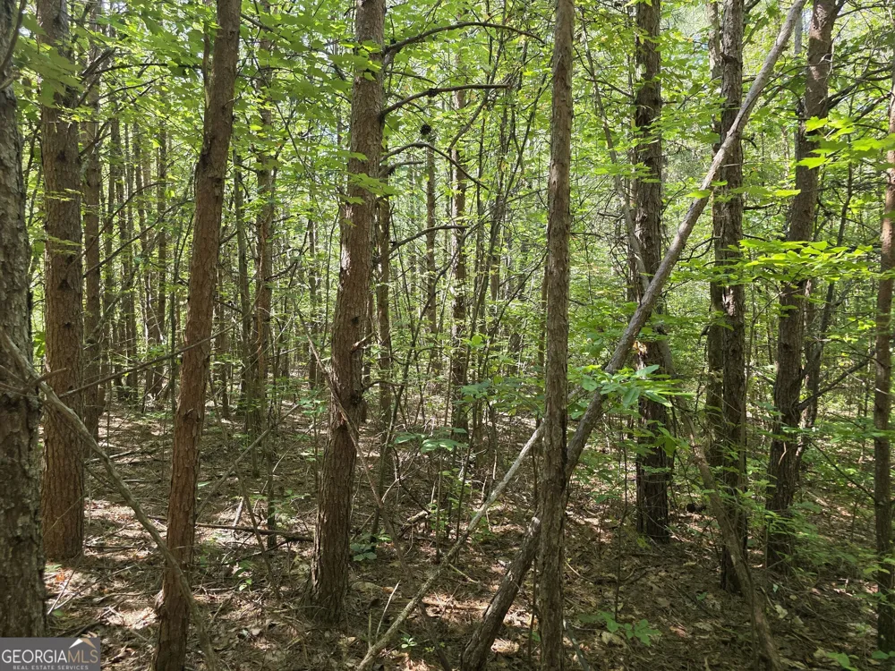 34.98 Hall RD Turtletown, TN 37391