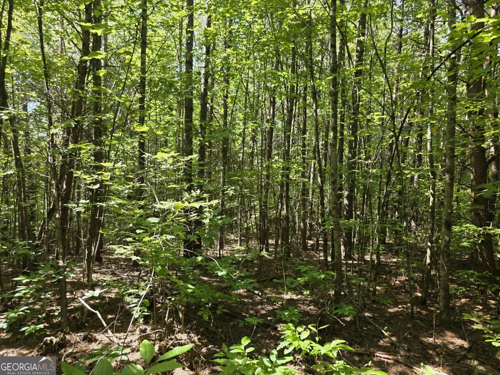 34.98 Hall RD Turtletown, TN 37391