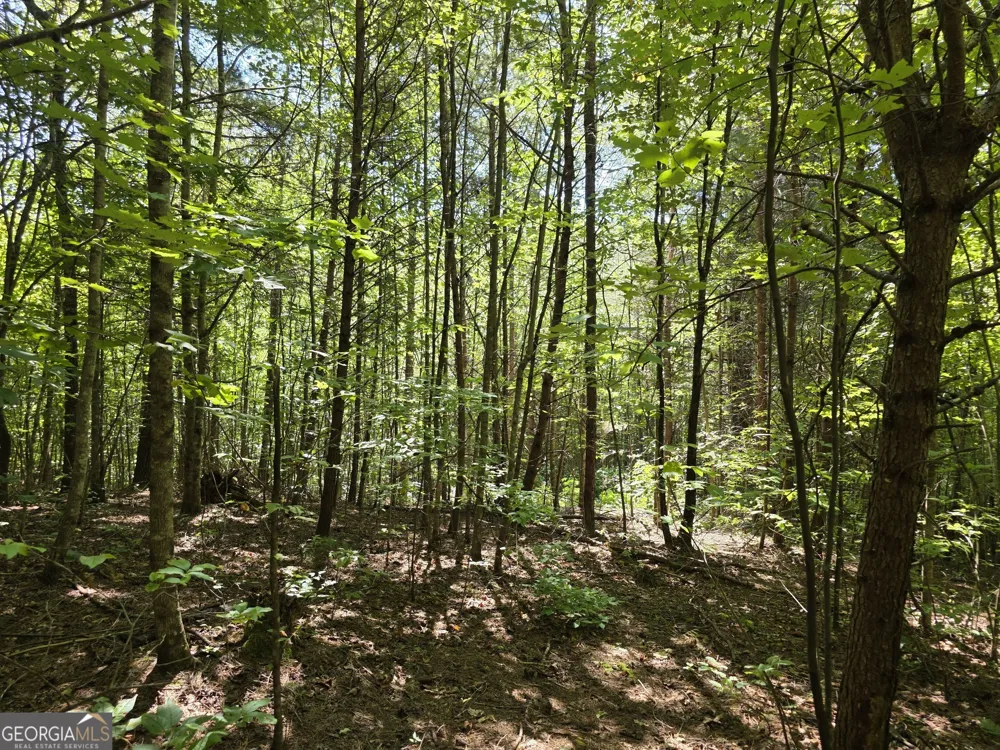 34.98 Hall RD Turtletown, TN 37391