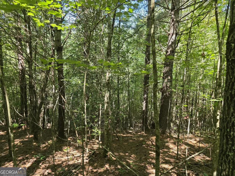 34.98 Hall RD Turtletown, TN 37391
