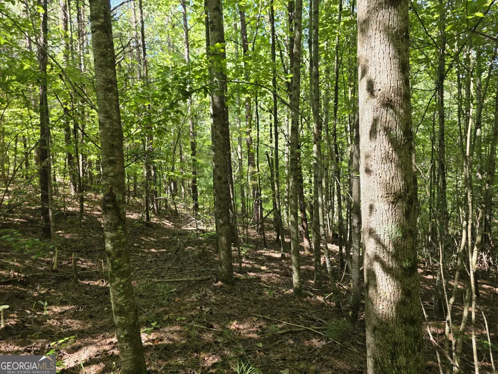 34.98 Hall RD Turtletown, TN 37391