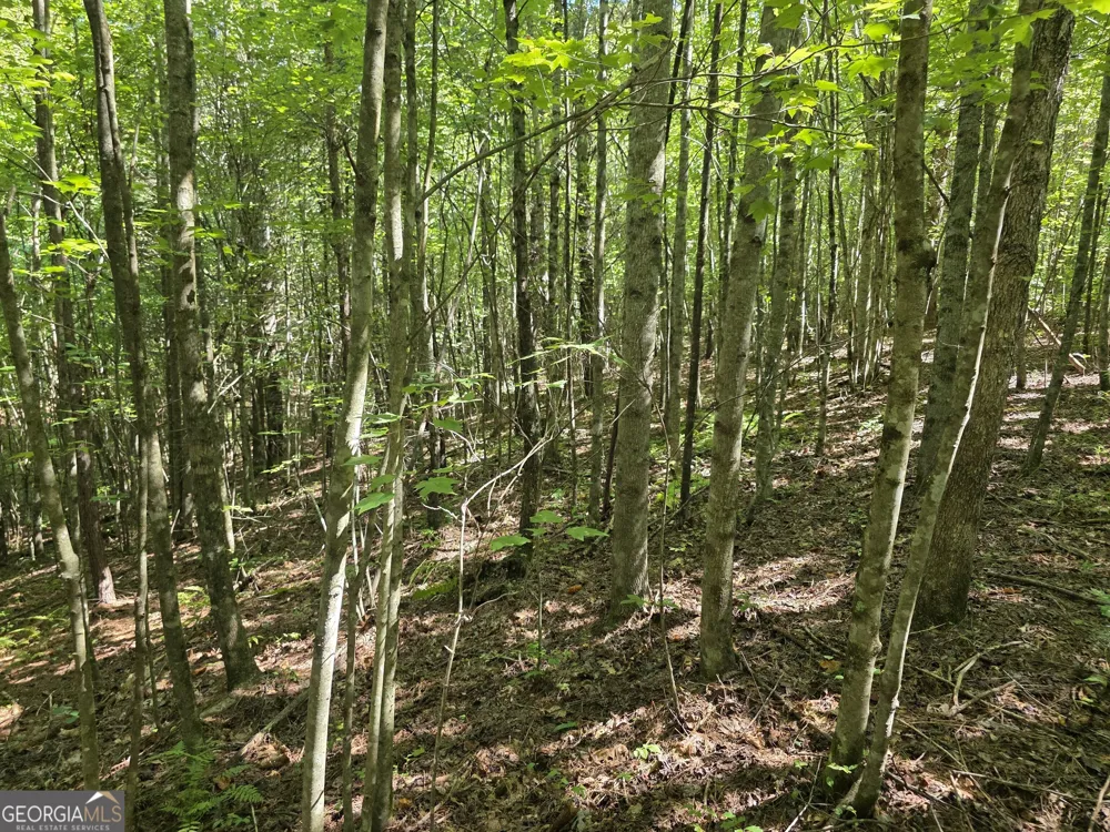 34.98 Hall RD Turtletown, TN 37391