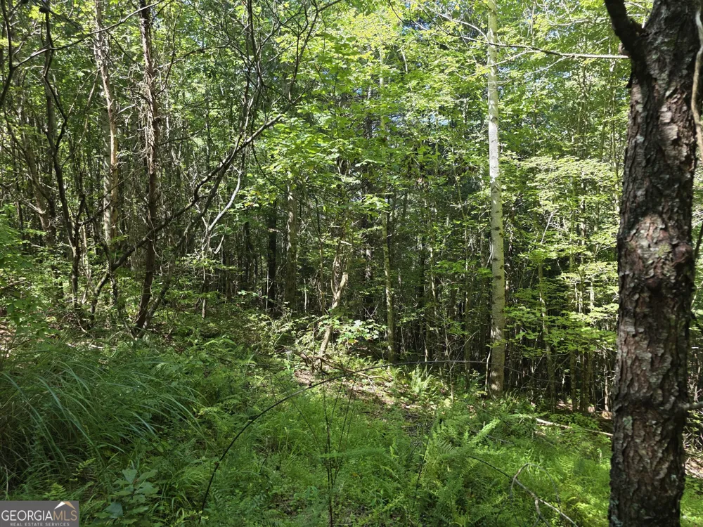 34.98 Hall RD Turtletown, TN 37391