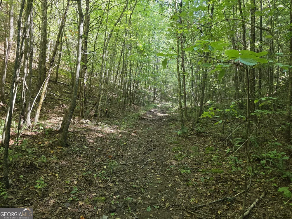 34.98 Hall RD Turtletown, TN 37391