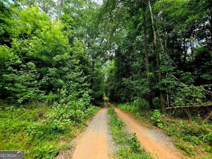 0 Highway 42 S Forsyth, GA 31029