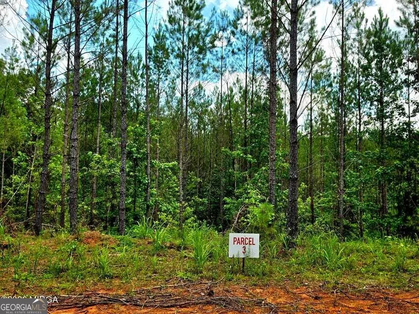 0 Highway 42 S Forsyth, GA 31029