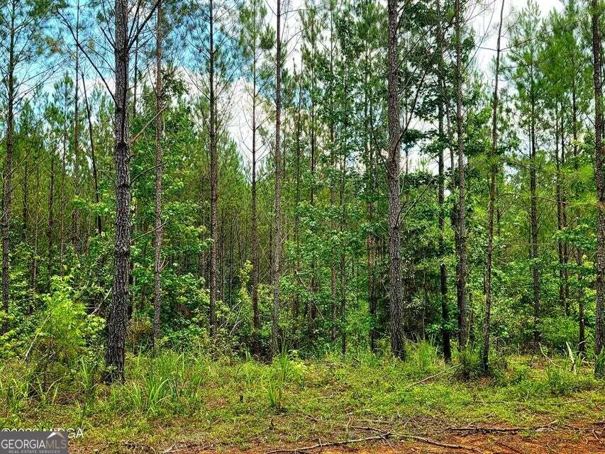 0 Highway 42 S Forsyth, GA 31029
