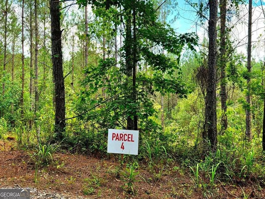 0 Highway 42 S Forsyth, GA 31029