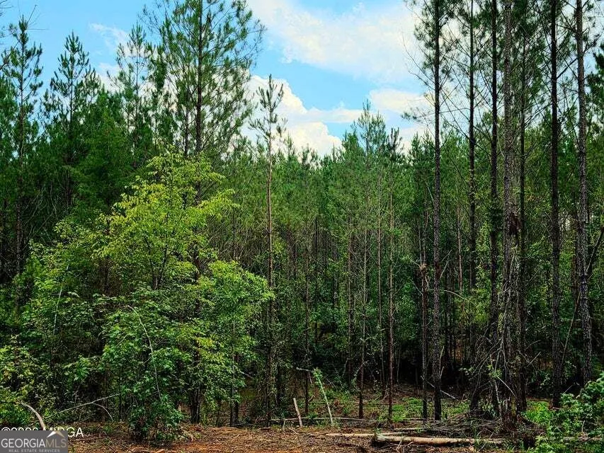 0 Highway 42 S Forsyth, GA 31029