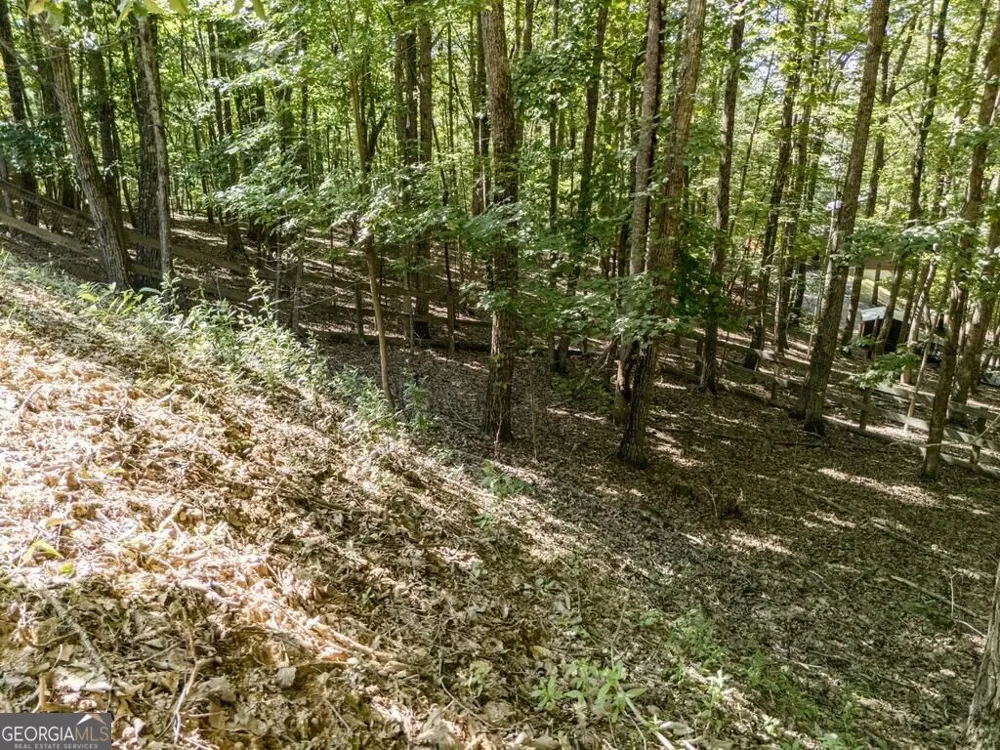 191 Deer Run RD Blairsville, GA 30512