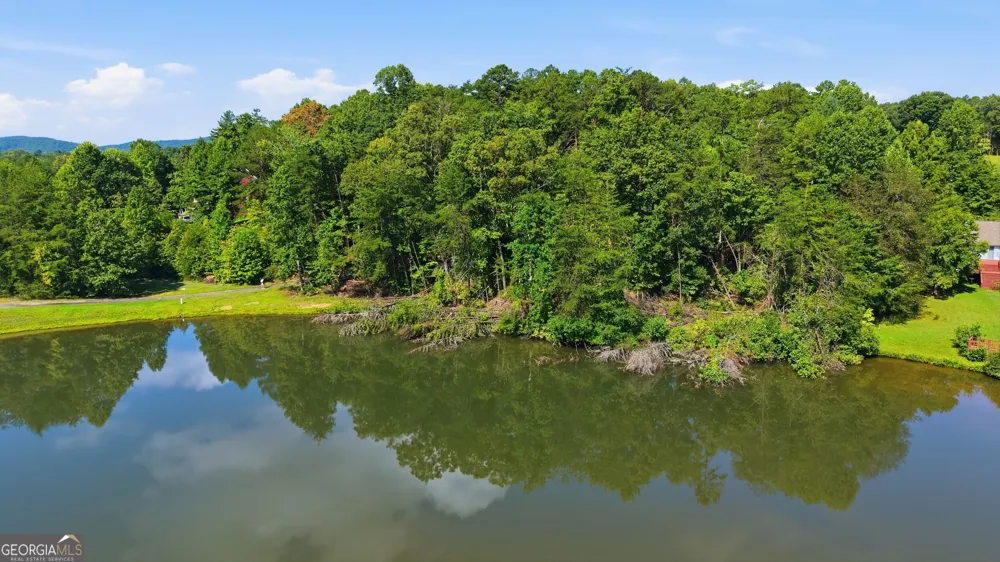 0 Deer Trail LKS Clarkesville, GA 30523