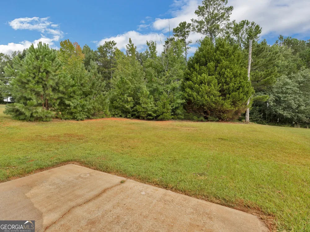 11704 Spring Lake WAY Fayetteville, GA 30215