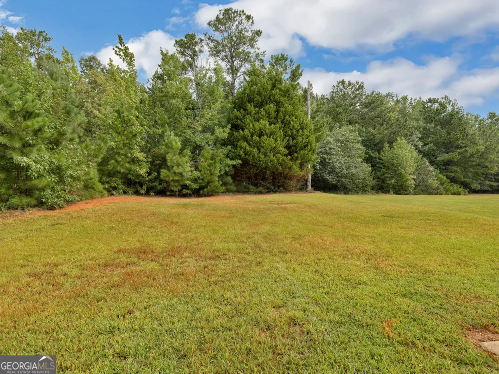 11704 Spring Lake WAY Fayetteville, GA 30215