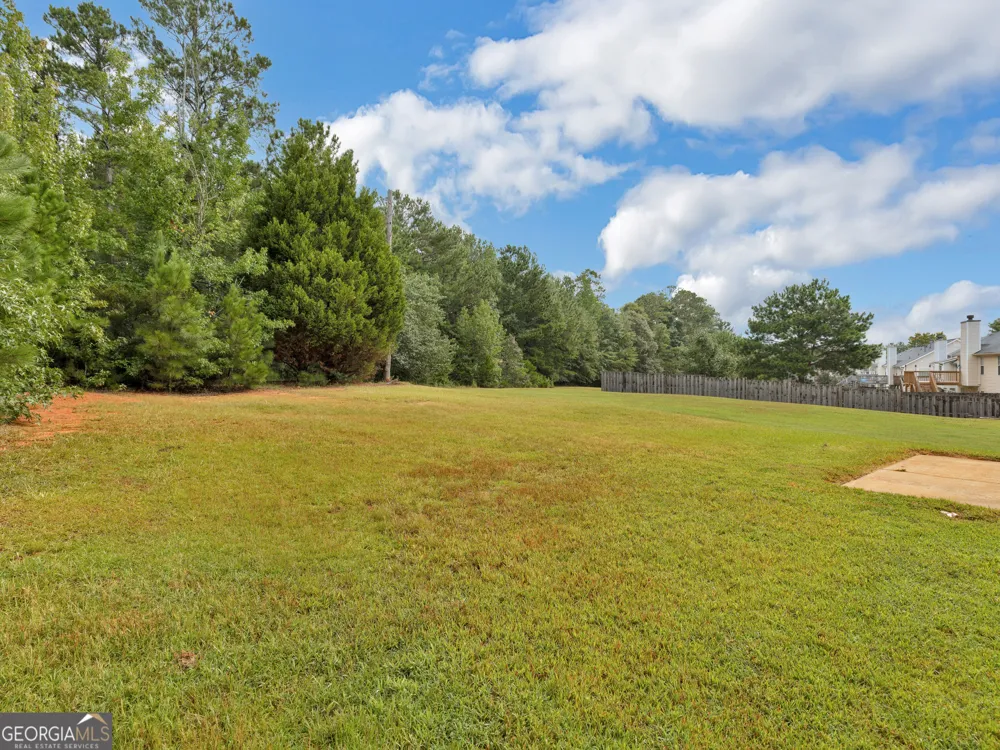 11704 Spring Lake WAY Fayetteville, GA 30215