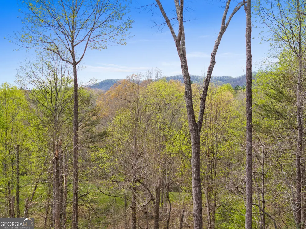 1134 Maggie Chapman RD Blue Ridge, GA 30513