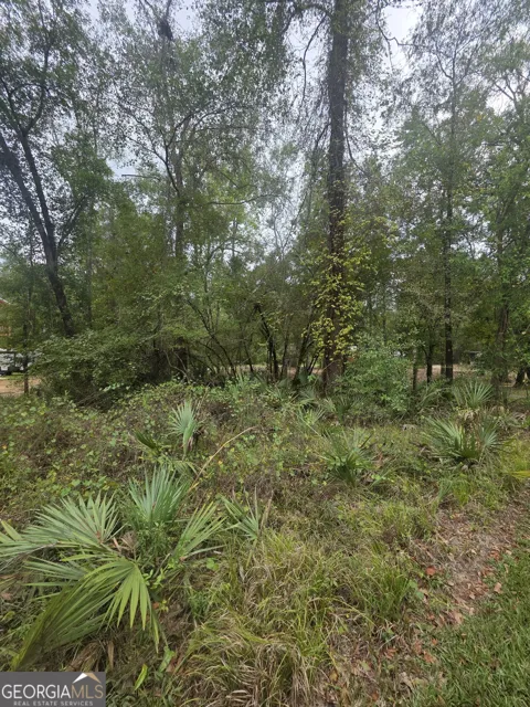 0 Morris Landing RD