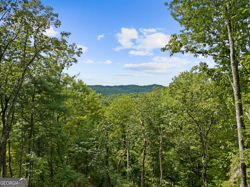 21 Mountain View TRL Cherry Log, GA 30522