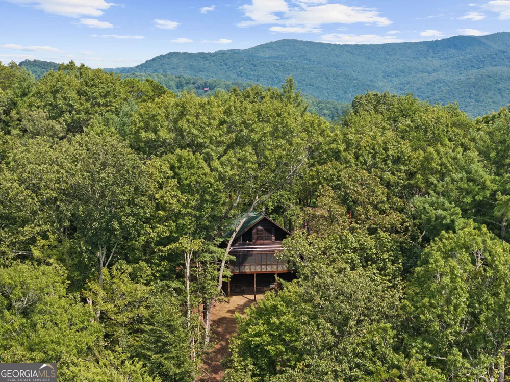 21 Mountain View TRL Cherry Log, GA 30522