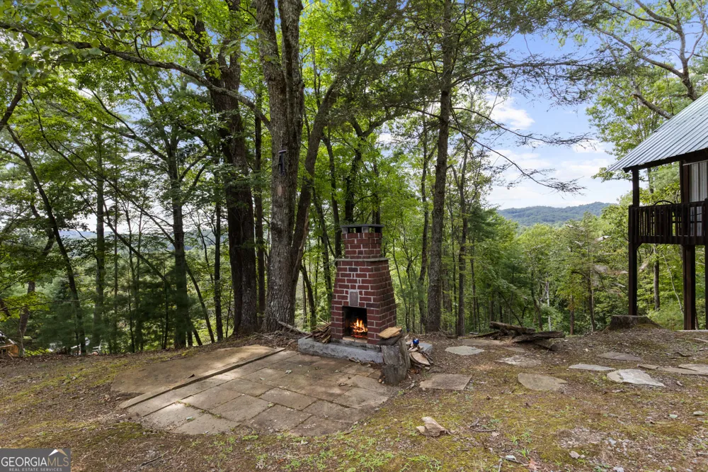 21 Mountain View TRL Cherry Log, GA 30522