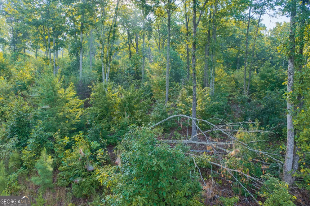LOT 191 Oak Park DR Talking Rock, GA 30175