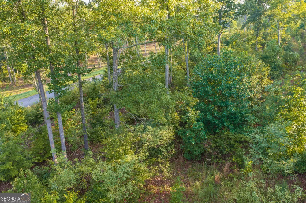 LOT 191 Oak Park DR Talking Rock, GA 30175