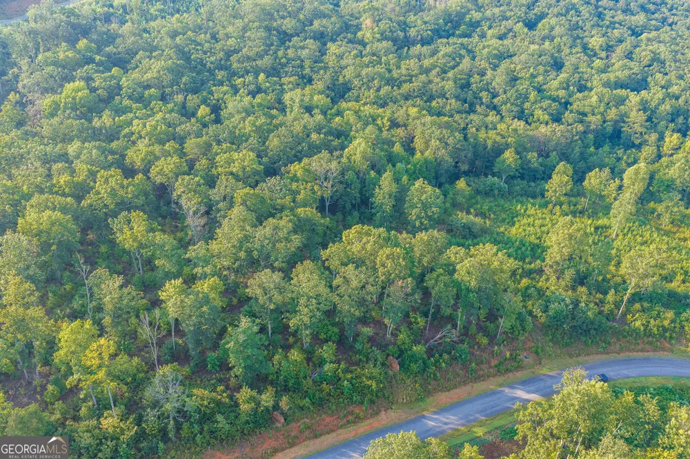 LOT 191 Oak Park DR Talking Rock, GA 30175