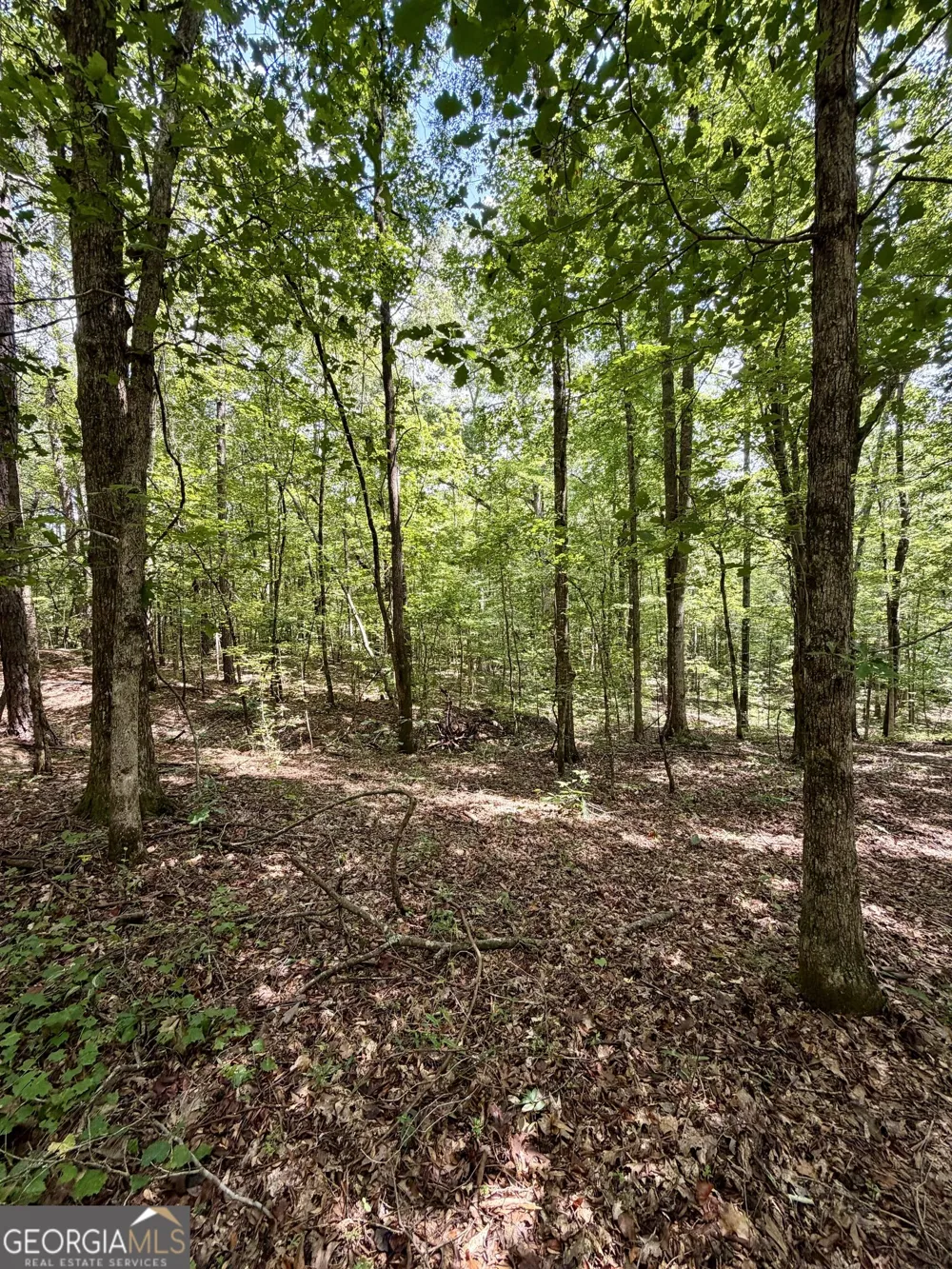 971 Bo Bo Banks RD Grantville, GA 30220