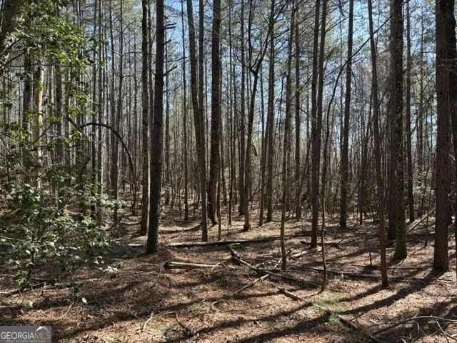 343 Hank Fry Rd Clarkesville, GA 30523