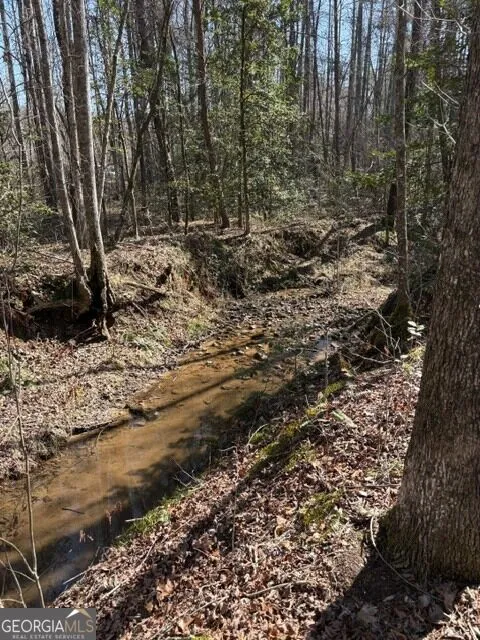 343 Hank Fry Rd Clarkesville, GA 30523