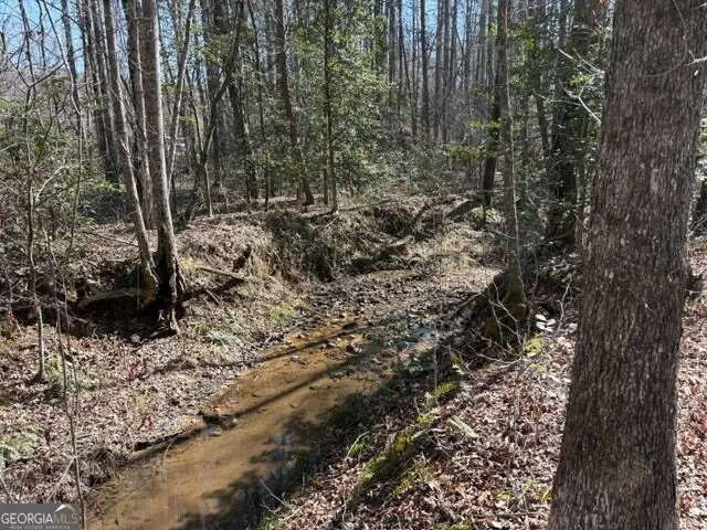 343 Hank Fry Rd Clarkesville, GA 30523