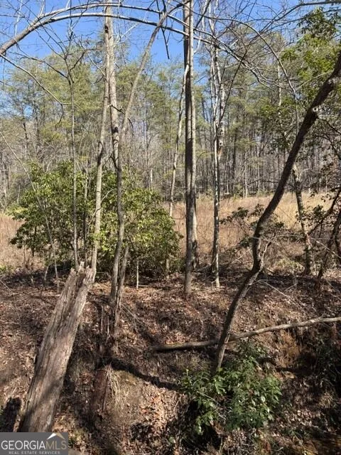 343 Hank Fry Rd Clarkesville, GA 30523