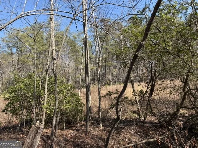 343 Hank Fry Rd Clarkesville, GA 30523