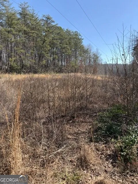343 Hank Fry Rd Clarkesville, GA 30523