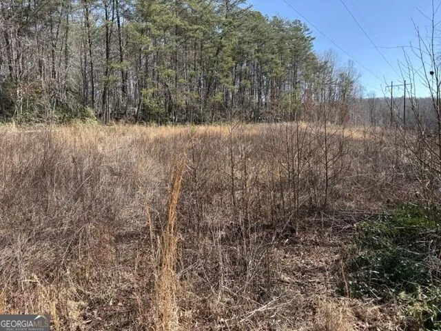 343 Hank Fry Rd Clarkesville, GA 30523