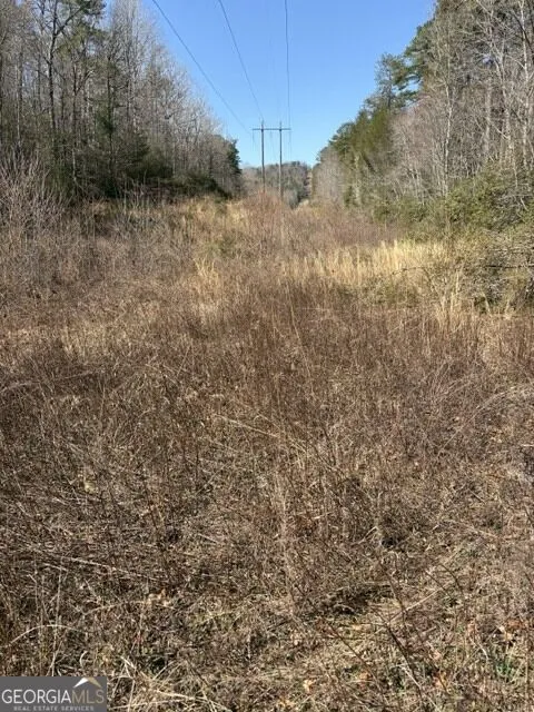 343 Hank Fry Rd Clarkesville, GA 30523