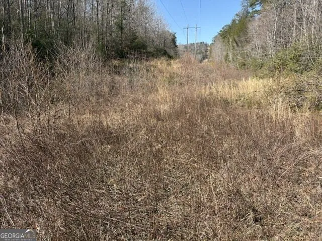 343 Hank Fry Rd Clarkesville, GA 30523