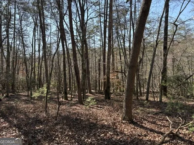 343 Hank Fry Rd Clarkesville, GA 30523
