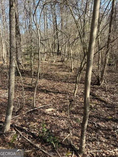 343 Hank Fry Rd Clarkesville, GA 30523