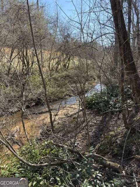 343 Hank Fry Rd Clarkesville, GA 30523