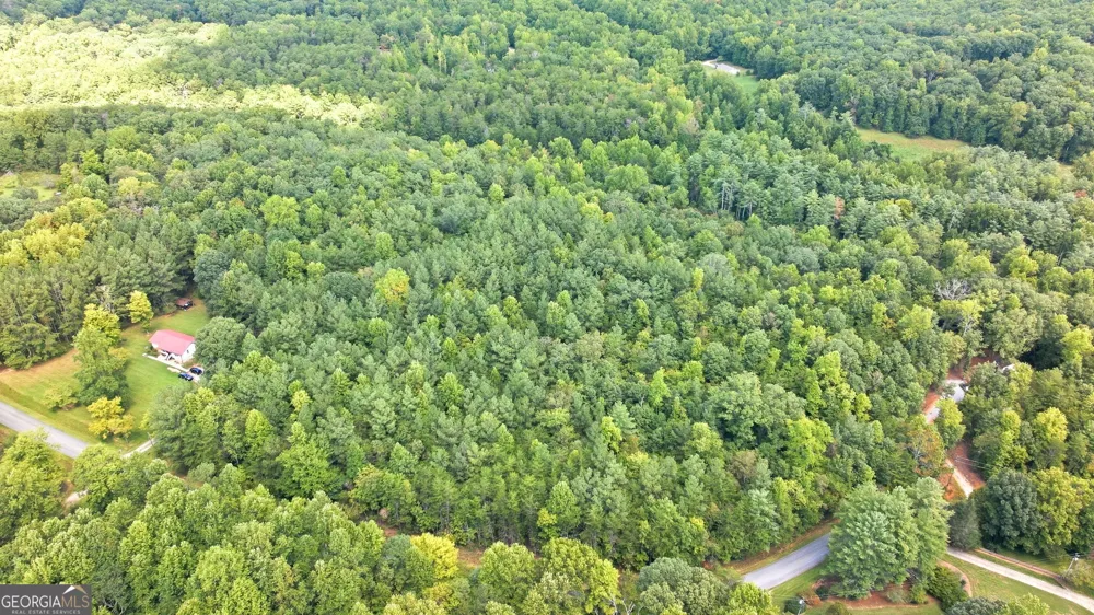 343 Hank Fry Rd Clarkesville, GA 30523