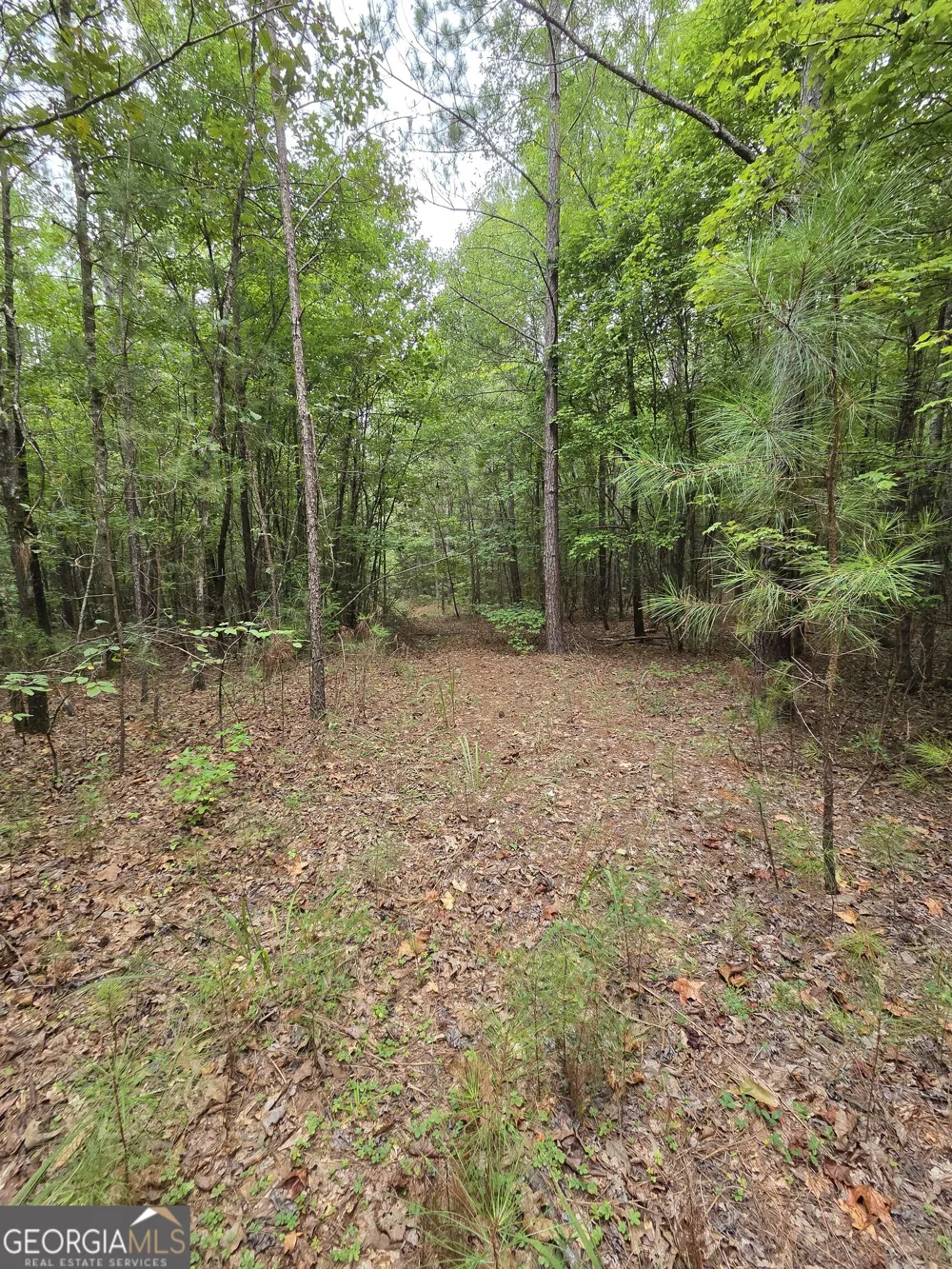 0 Brownlee Road Forsyth, GA 31029
